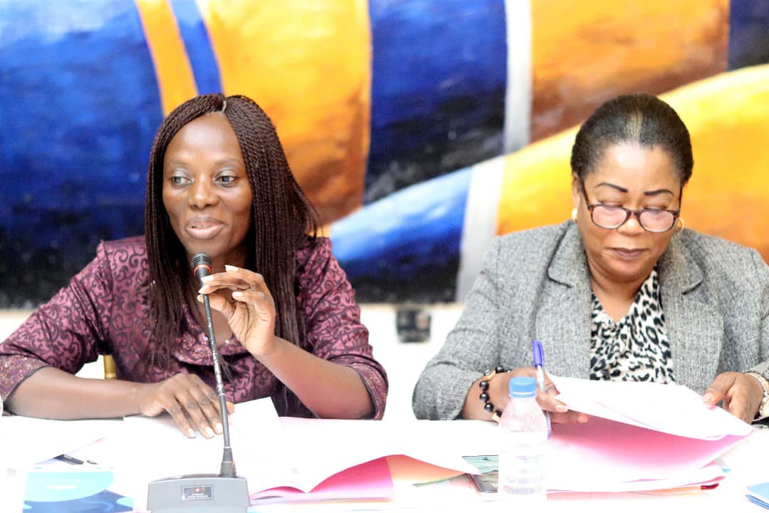 2eme Conseil municipal de la mairie de Cocody  - photo 11