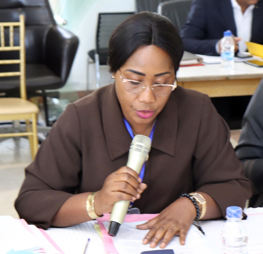 Troisième réunion du conseil municipal de Cocody de l'année 2023 - photo 8