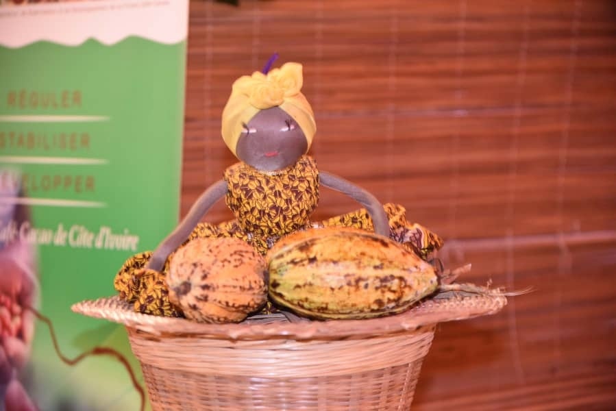 Culture du cacao
 - photo 1