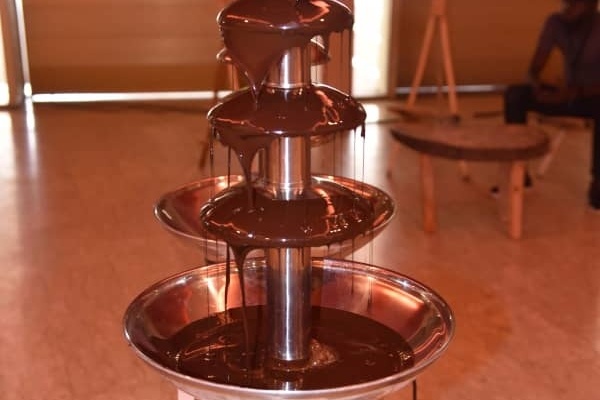 Culture du cacao
 - photo 5